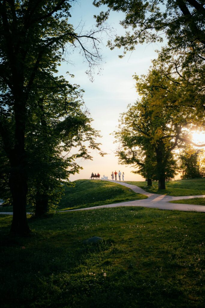 People standing on a hill in a park at sunset